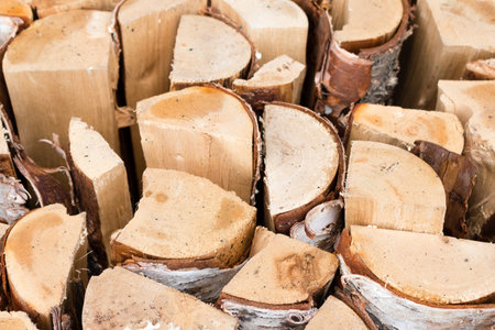 Tree trunks stacked up with each other.