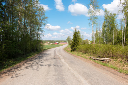 Country road in rural Finland. Sunny weather.の写真素材