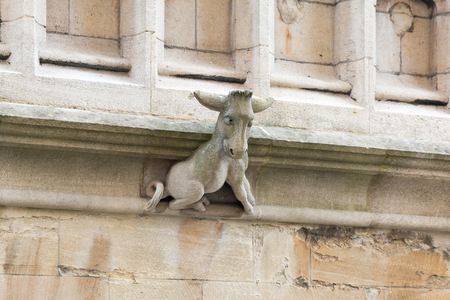 Donkey statue decorating the walls of University Church of St Mary the Virgin. Oxford, United Kingdom.の写真素材