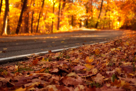 Such vibrant colors during the first week of October. Of course this varies from year to year, but...