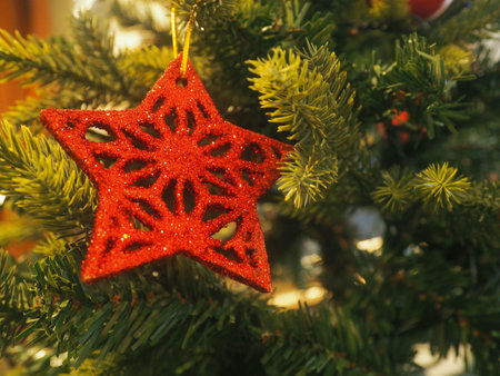 Christmas decorations in the treeの写真素材