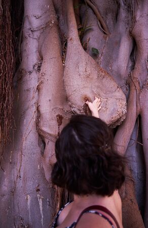 Girl with short hair in a dress touching the trunk from a tall treeの写真素材