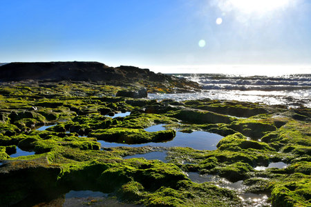 El Medano, rocks and puddles at low tide