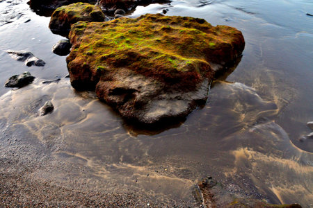 El Medano, rocks and puddles at low tide