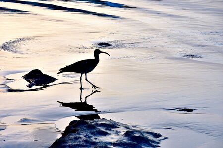 Earlier fisher on the beachの写真素材