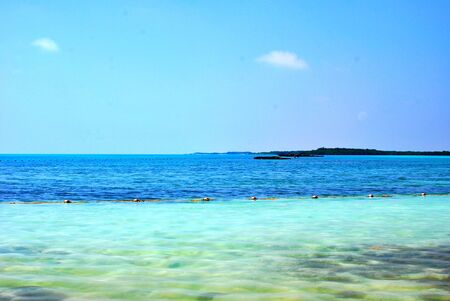 Contoy Island, Nature reserve and Mexican National Wildlife Refugeの写真素材