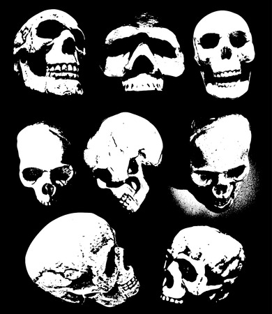Dead remains of Skulls and cranium skeletonsのイラスト素材