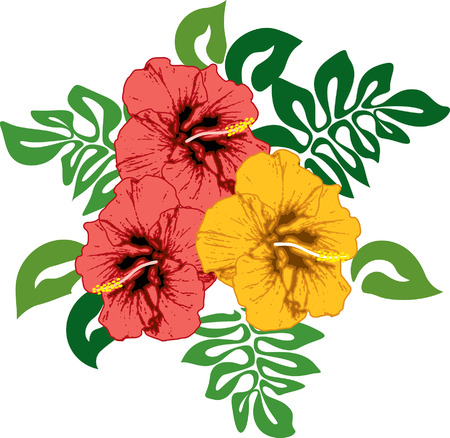 Hibiscus natural colors hawaiian foliage and flowersのイラスト素材