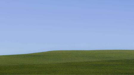 Horizon of green meadowの写真素材