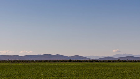 Green plain with mountains in the distance