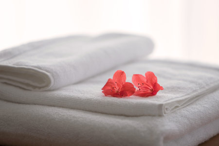 Two red azalea flowers on folded towels and backlightの写真素材