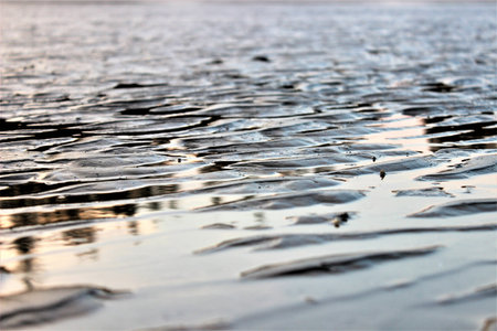 Beach at sunset