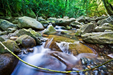 Stream flowing through rocks in a lush green rainforest in Australiaの写真素材