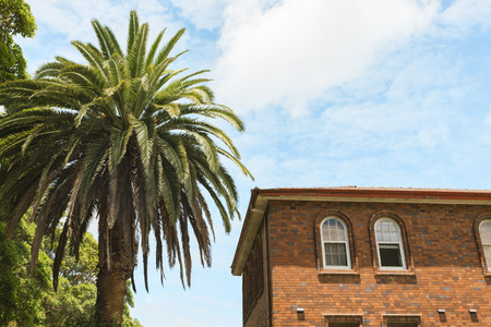 large brick house with white windows next to a palm-tree and a forest, with a sunny blue sky with some cloudsの写真素材