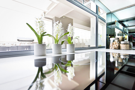 Modern stove close up beside the window and flowering plants, the black stove is shiny and reflective which can be seen very closely to the window and kitchen ingredient, the sunlight came through the glassの写真素材