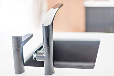 Artsy kitchen taps on the kitchen counter basin