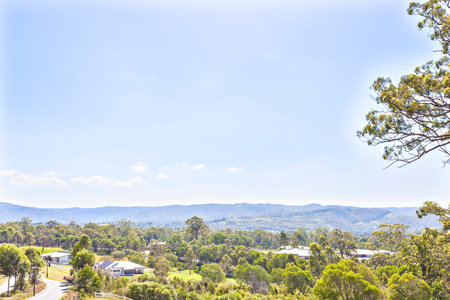 Natural estate with green plants and houses, more colorful scene from trees also forest, clear sky...