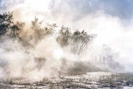 Australia bushfires in summer fire season