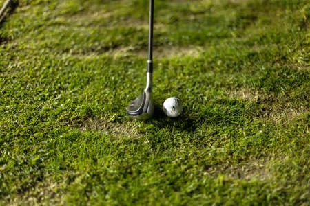 Golf ball on green grass ready to be struckの写真素材