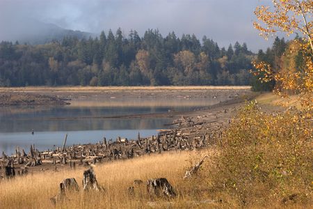 The fog rolls on a lake with golden fall colors near Mountain Rainier.の写真素材