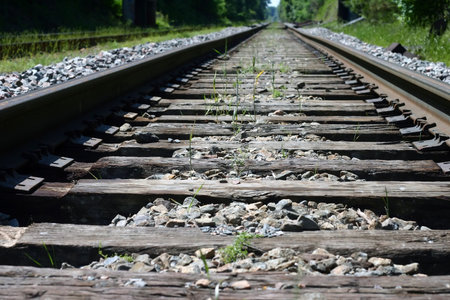 A perspective, vanishing point view of railroad tracks in the summer.