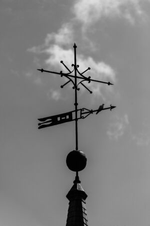church weather vane with perched birdの写真素材