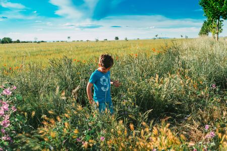 happy child strolling through nature in the new normal without technologyの写真素材