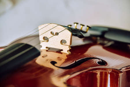 Violin parts. Bow first on white marble background. Selective focus.の写真素材