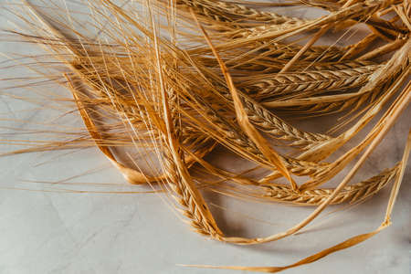 wheat spikes on white marble backgroundの写真素材