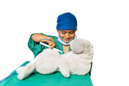 happy child disguised as a surgeon playing doctor operating on a teddy bearの写真素材