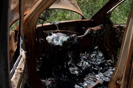 Abandoned and burned car in the middle of the forestの写真素材