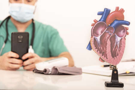 Close-up image of anatomical heart with background of cardiologist working, background out of focus and focus on heart image.の写真素材