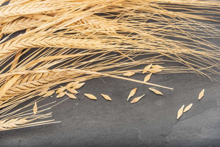 Cluster of dried wheat on a slate stone background.の写真素材