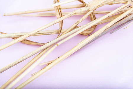 Dried wheat cluster on a pink background.の写真素材