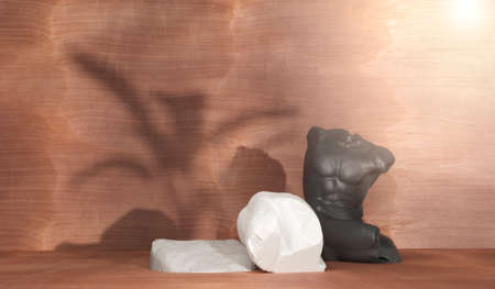 Stone product display podium with shadow nature leaves on brown background. 3d renderingの写真素材