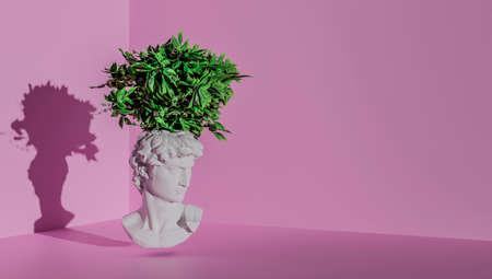 Head of a statue of David on a pink background with plants on his head.の写真素材