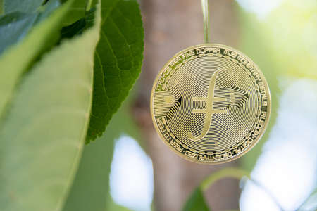 filecoin, cryptocurrency concept, tree-born currency concept.の写真素材