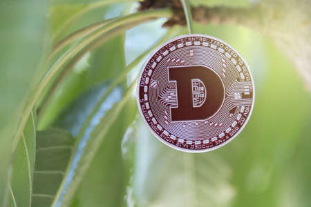 wow, cryptocurrency concept, tree-born currency concept. blockchainの写真素材