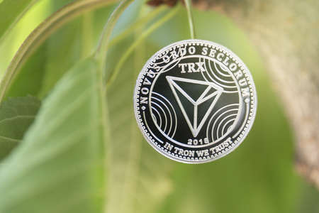 Young plant on the top of coin stack, bitcoin, investment, business growth concept, copy space.の写真素材