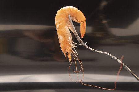 Roasted tails of shrimps with fresh rosemary and lemon.