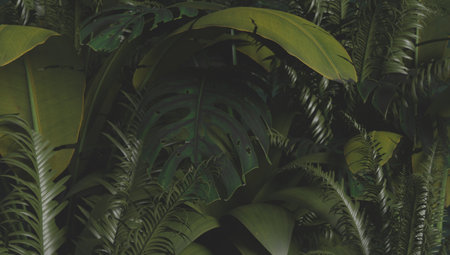wallpaper of tropical plants in a green colour palette. 3d renderingの写真素材