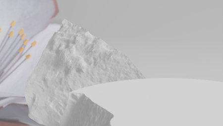 display of products on a podium made of white split rock with a floral background out of focus. 3d rendering.の写真素材
