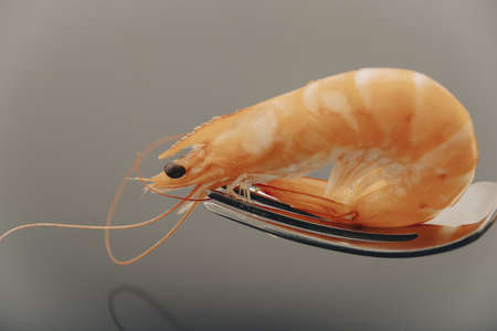 Roasted tails of shrimps with fresh rosemary and lemon.の写真素材
