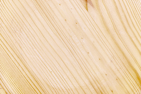 Wood Dark background texture. Blank for design.の写真素材