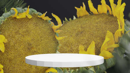 Podium or stand for product with sunflowers and dry leaves on grey stone background, dark still life. 3d rendering.の写真素材