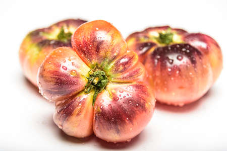 Few Green tiger tomato is wet.の写真素材