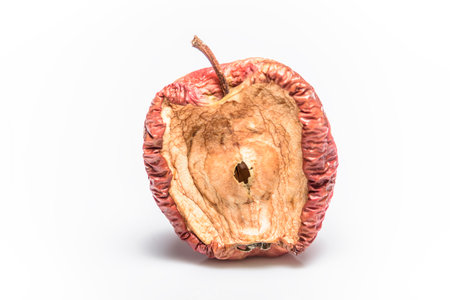 Rotting apples, decay and food waste concept with photograph of unhealthy decayed bad apple isolated on white backgroundの写真素材