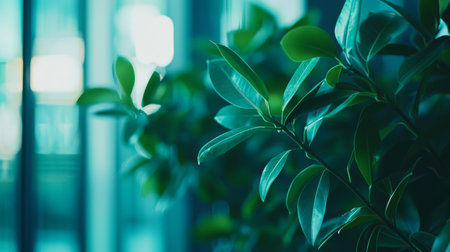 A serene closeup view showcasing vibrant green leaves beautifully set against a soothing blue backdropの素材