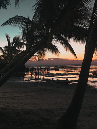 Wind on the beach, coconut trees and accompanied by a beautiful sunset
