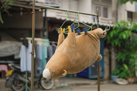 Cleaning Teddy Bearの写真素材